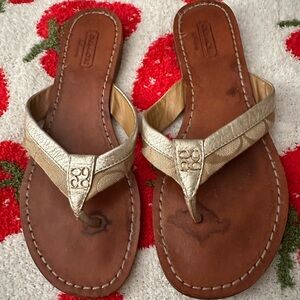 COACH Thong Sandals